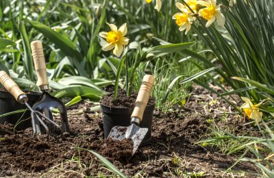 Jouw tuin veranderen in een groene oase